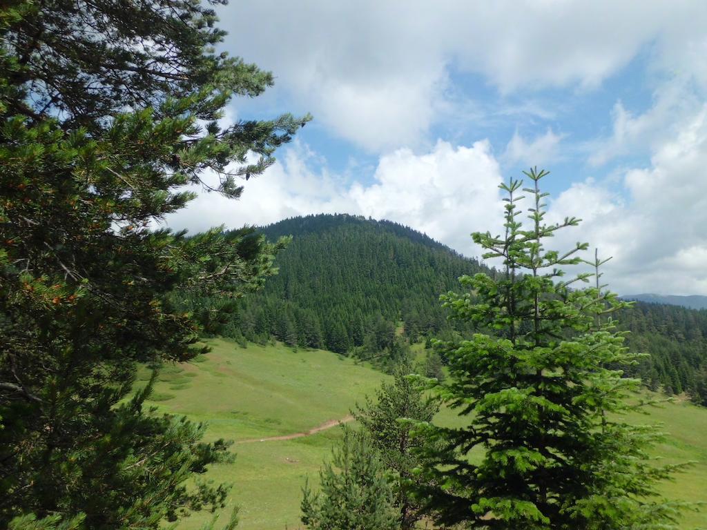 Ilgaz Derbent Hotel Ngoại thất bức ảnh